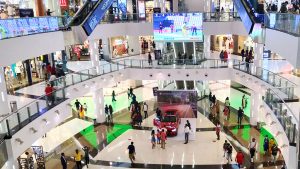 market 55567 08